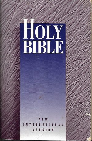 Holy Bible New international Version