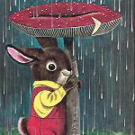 Hard Back Book I am a Bunny
