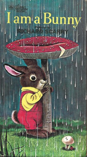 Hard Back Book I am a Bunny